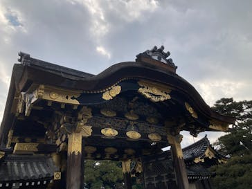 元離宮二条城に投稿された画像（2026/2/13）