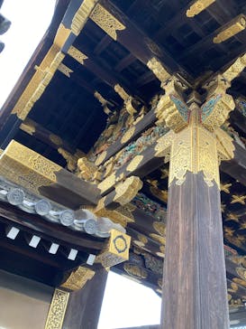 元離宮二条城に投稿された画像（2026/2/13）