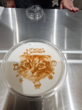 Cat Café MOFF イオンモール豊川店に投稿された画像（2026/2/13）