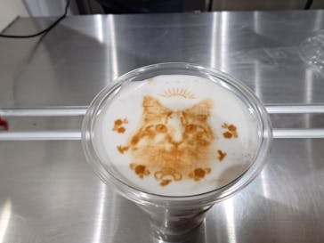 Cat Café MOFF イオンモール豊川店に投稿された画像（2026/2/13）