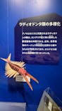 特別展「大絶滅展―生命史のビッグファイブ」に投稿された画像（2026/2/13）