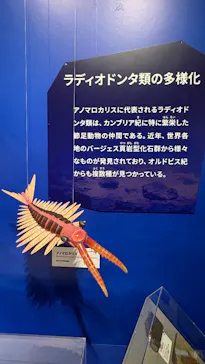 特別展「大絶滅展―生命史のビッグファイブ」に投稿された画像（2026/2/13）