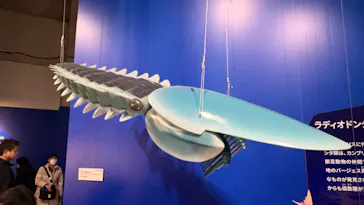 特別展「大絶滅展―生命史のビッグファイブ」に投稿された画像（2026/2/13）