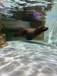 マクセル アクアパーク品川に投稿された画像（2026/2/13）