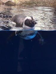 マクセル アクアパーク品川に投稿された画像（2026/2/13）