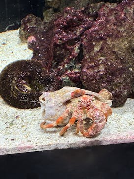 マクセル アクアパーク品川に投稿された画像（2026/2/13）