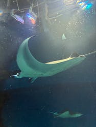 マクセル アクアパーク品川に投稿された画像（2026/2/13）