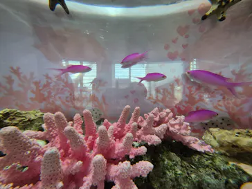 名古屋港水族館に投稿された画像（2026/2/13）