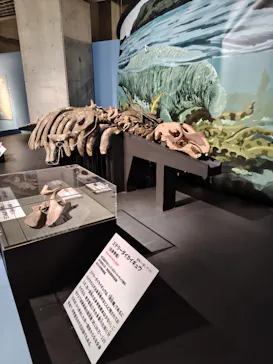 特別展「大絶滅展―生命史のビッグファイブ」に投稿された画像（2026/2/13）