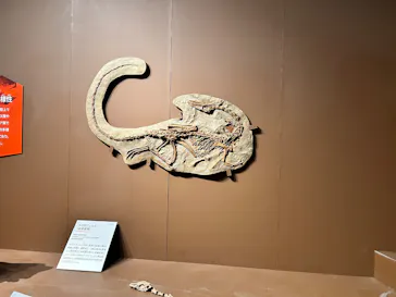 特別展「大絶滅展―生命史のビッグファイブ」に投稿された画像（2026/2/13）