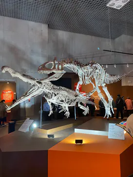 特別展「大絶滅展―生命史のビッグファイブ」に投稿された画像（2026/2/13）