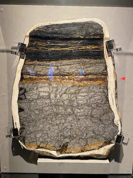 特別展「大絶滅展―生命史のビッグファイブ」に投稿された画像（2026/2/13）