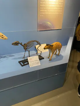 特別展「大絶滅展―生命史のビッグファイブ」に投稿された画像（2026/2/13）