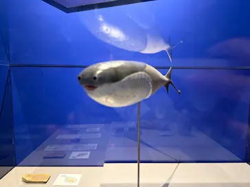 特別展「大絶滅展―生命史のビッグファイブ」に投稿された画像（2026/2/13）