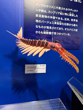 特別展「大絶滅展―生命史のビッグファイブ」に投稿された画像（2026/2/13）