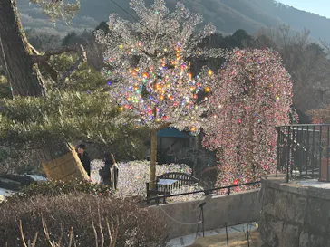 箱根ガラスの森美術館に投稿された画像（2026/2/13）