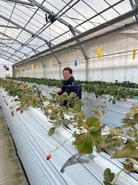 山万ユーカリファームに投稿された画像（2026/2/13）