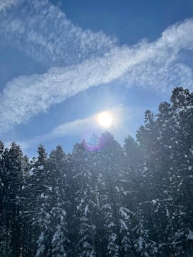 アストラル・オレンジに投稿された画像（2026/2/13）