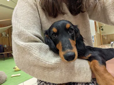 いぬカフェRio 下北沢店に投稿された画像（2026/2/13）