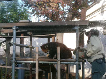天王寺動物園に投稿された画像（2026/2/13）
