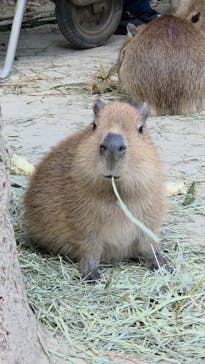 長崎バイオパークに投稿された画像（2026/2/13）