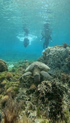 isola blue（イゾラブルー）に投稿された画像（2026/2/13）