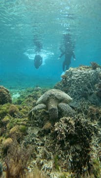 isola blue（イゾラブルー）に投稿された画像（2026/2/13）