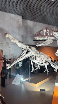 特別展「大絶滅展―生命史のビッグファイブ」に投稿された画像（2026/2/13）