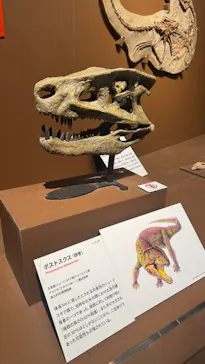 特別展「大絶滅展―生命史のビッグファイブ」に投稿された画像（2026/2/13）