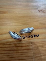 師楽に投稿された画像（2026/2/13）