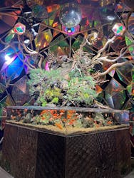 NARA IKIMONO MUSEUMに投稿された画像（2026/2/13）