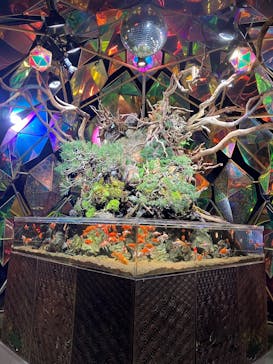 NARA IKIMONO MUSEUMに投稿された画像（2026/2/13）