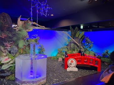 NARA IKIMONO MUSEUMに投稿された画像（2026/2/13）