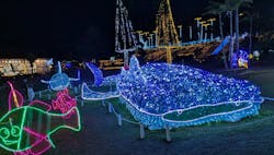 美らヤシパークオキナワ・東南植物楽園に投稿された画像（2026/2/13）