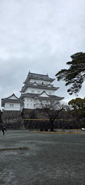 小田原城に投稿された画像（2026/2/13）