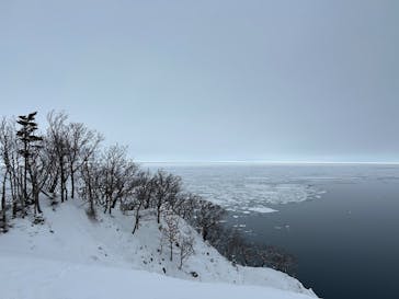 知床ネイチャーガイド星の時間に投稿された画像（2026/2/13）