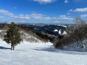 めいほうスキー場に投稿された画像（2026/2/13）
