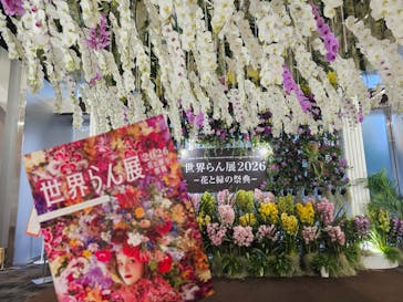 世界らん展2026-花と緑の祭典-に投稿された画像（2026/2/13）