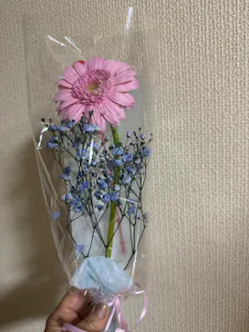 ハウステンボスに投稿された画像（2026/2/13）