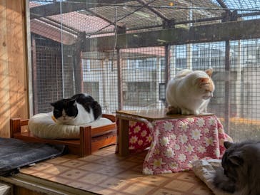 那須どうぶつ王国に投稿された画像（2026/2/13）