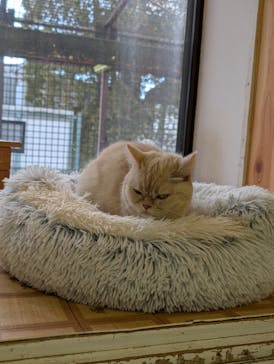 那須どうぶつ王国に投稿された画像（2026/2/13）