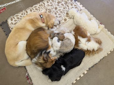 那須どうぶつ王国に投稿された画像（2026/2/13）