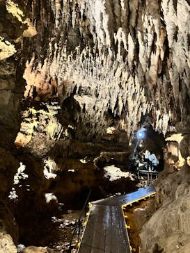 CAVE OKINAWAに投稿された画像（2026/2/13）