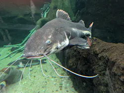 栃木県なかがわ水遊園に投稿された画像（2026/2/14）