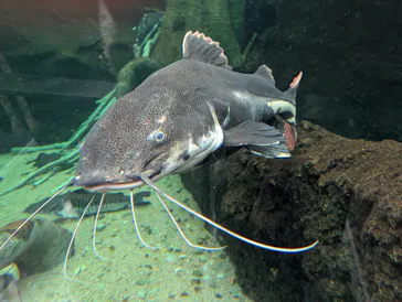 栃木県なかがわ水遊園に投稿された画像（2026/2/14）