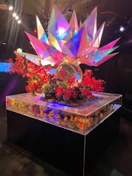 NARA KINGYO MUSEUMに投稿された画像（2026/2/14）