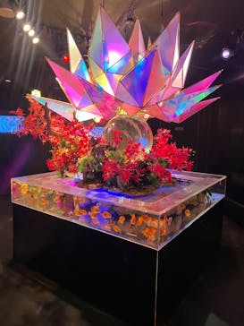 NARA KINGYO MUSEUMに投稿された画像（2026/2/14）