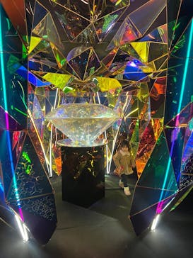 NARA KINGYO MUSEUMに投稿された画像（2026/2/14）