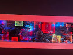 NARA KINGYO MUSEUMに投稿された画像（2026/2/14）