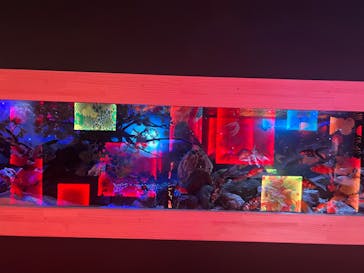 NARA KINGYO MUSEUMに投稿された画像（2026/2/14）